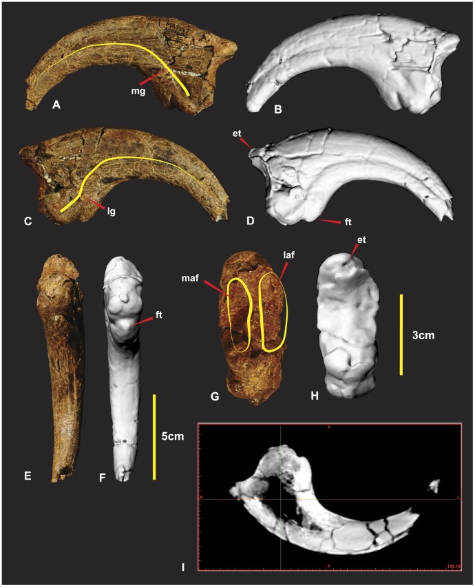 Figure 20