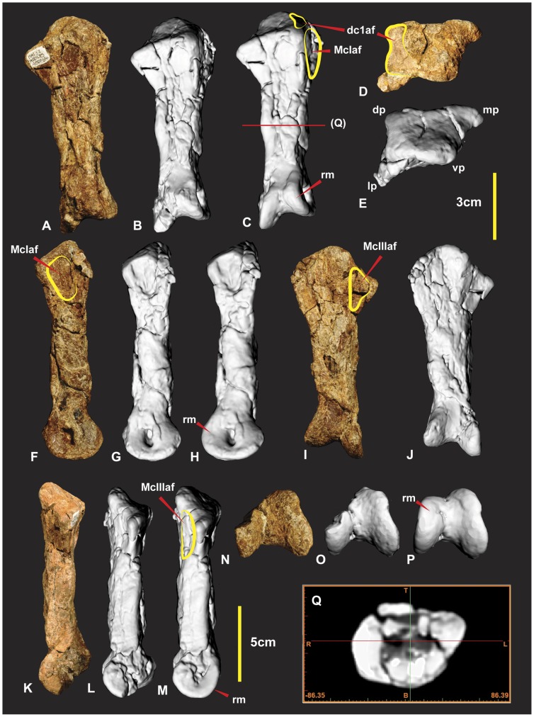 Figure 17