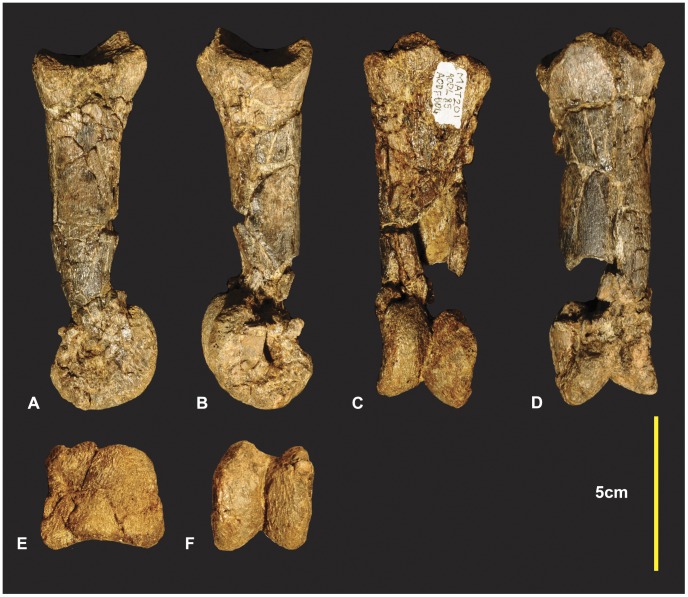 Figure 15