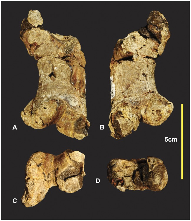 Figure 13