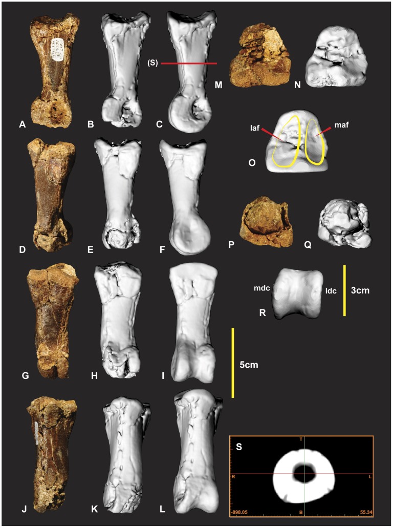 Figure 19