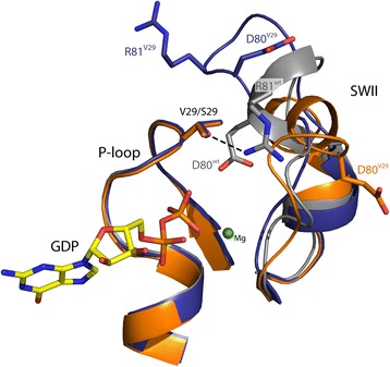 Fig. 3