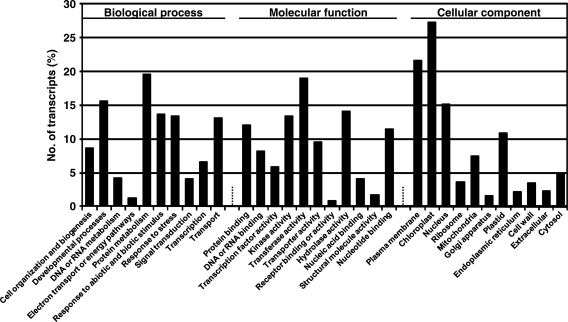 Figure 5.