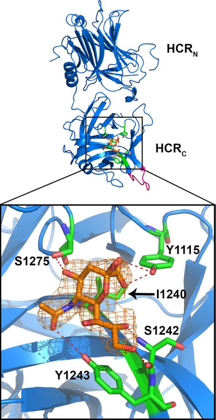 FIGURE 2.