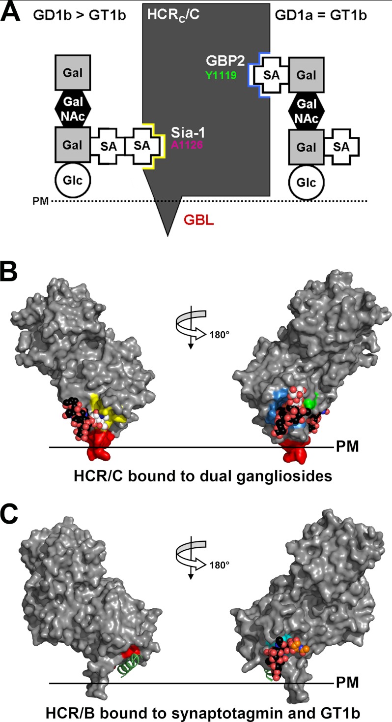 FIGURE 7.