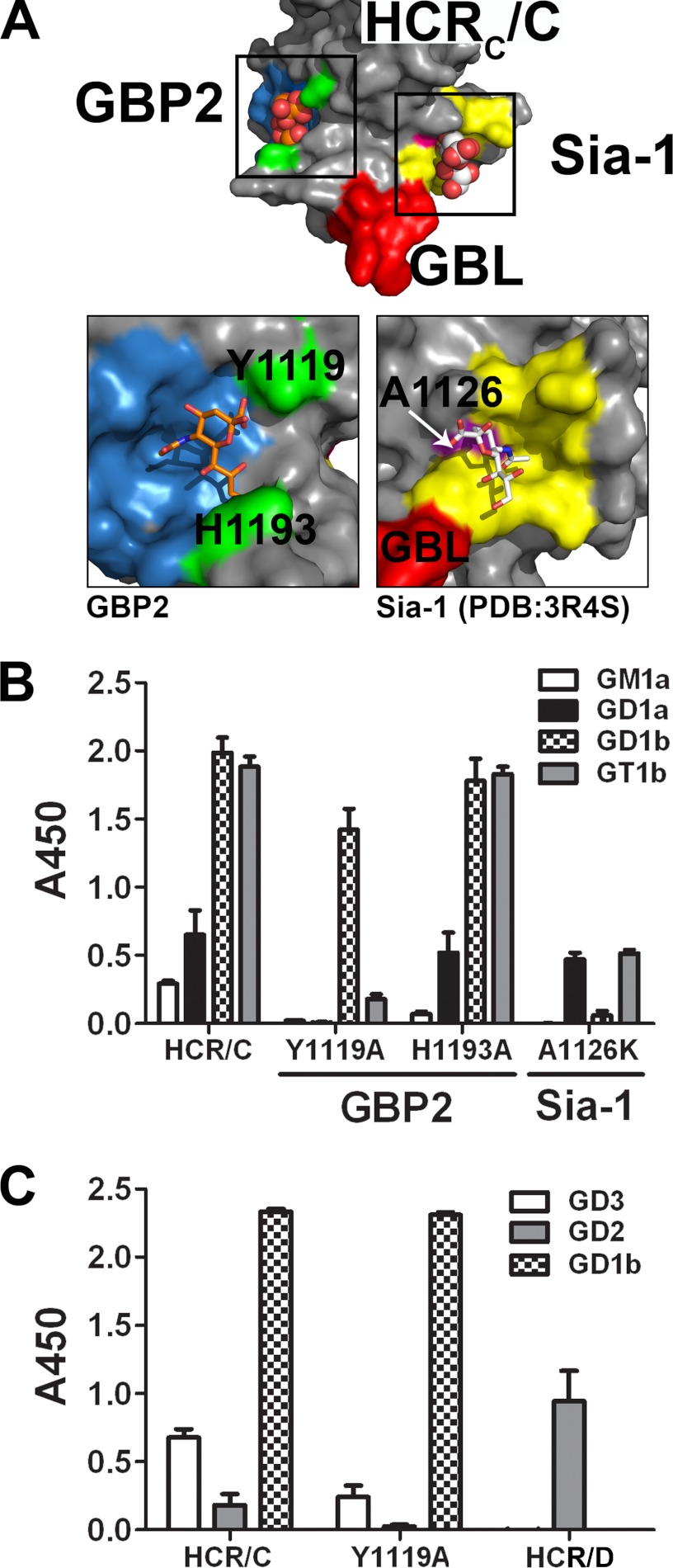 FIGURE 3.