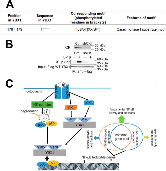 FIGURE 10.