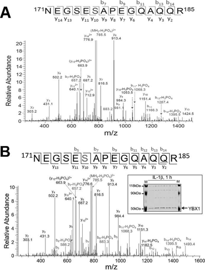 FIGURE 1.