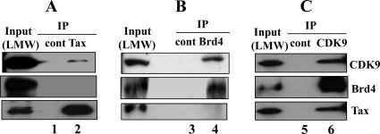 FIG. 2.