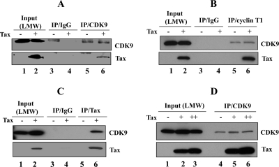 FIG. 3.