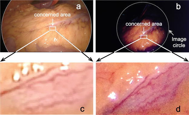 Fig. 6