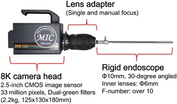 Fig. 2