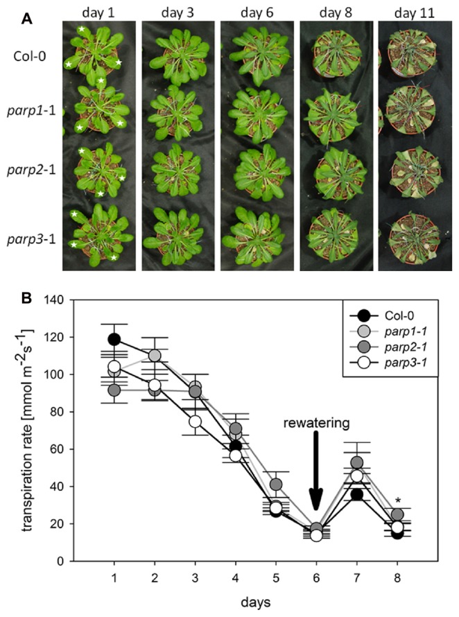 FIGURE 3