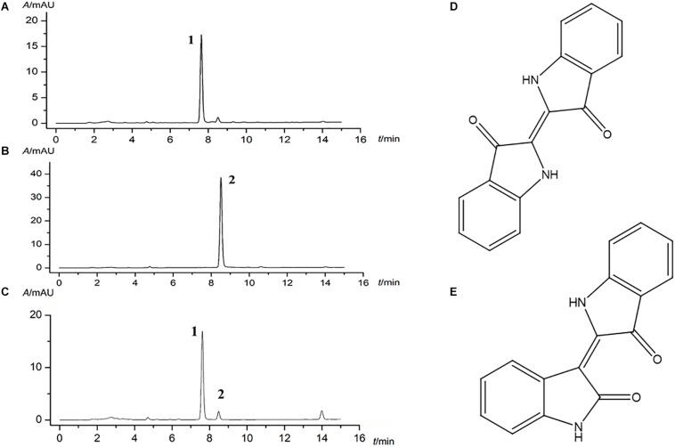 FIGURE 1