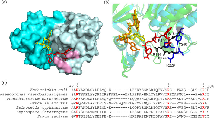 FIGURE 2