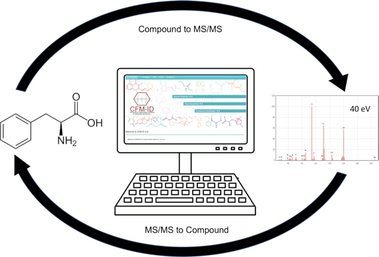 Graphical Abstract