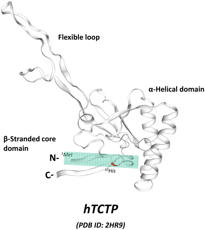 Figure 1.