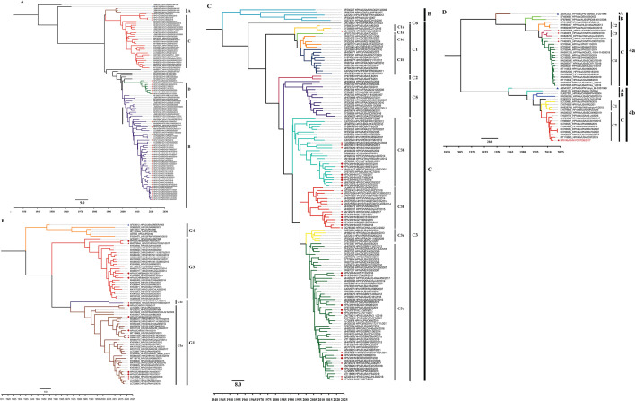 Bayesian phylogenetic tree of HPIV1 based on whole genome sequences, with prototype strains (blue triangles), study strains (red circles), and Chinese strains (red stars).