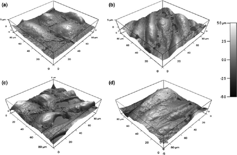 FIGURE 3