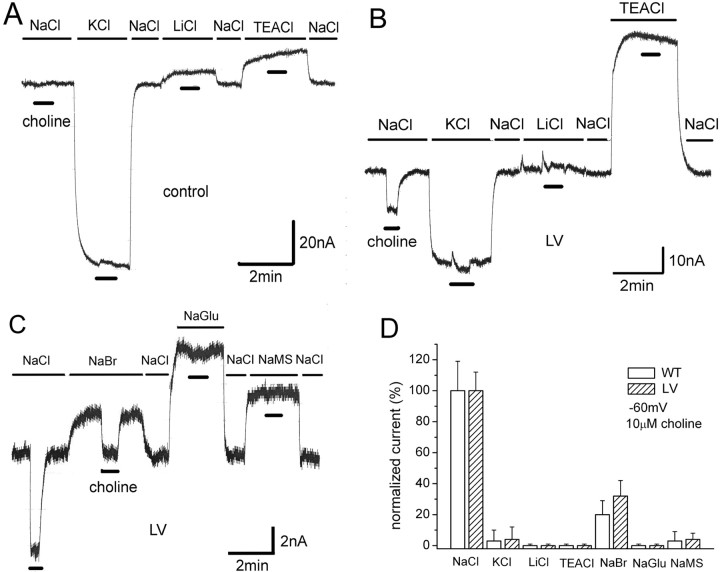 Figure 5.