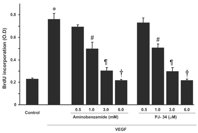 Fig.2