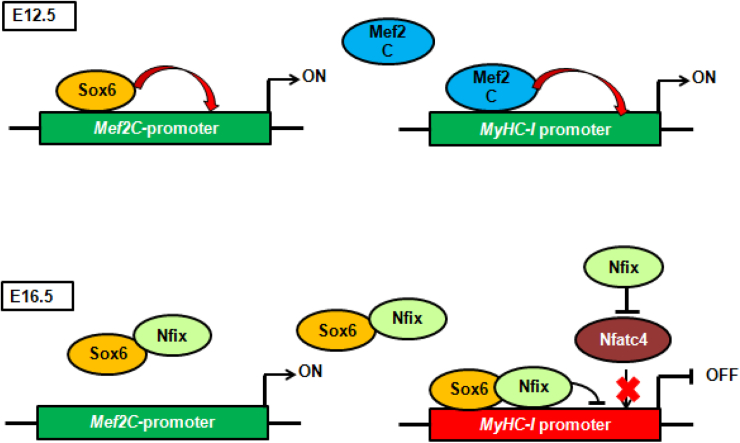 Figure 7