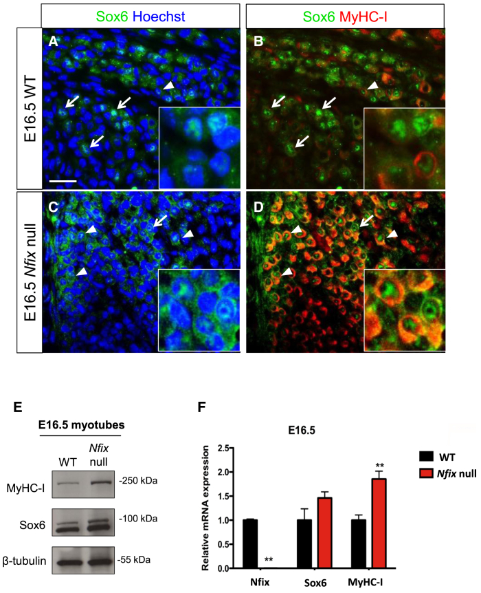 Figure 4