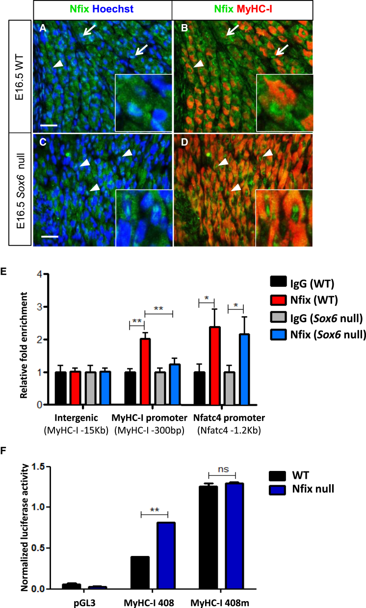 Figure 3