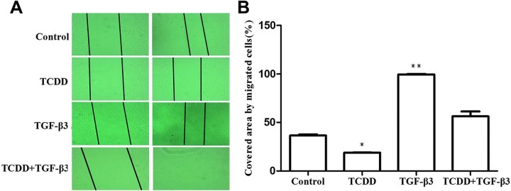 Figure. 3.