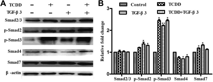 Figure. 4.