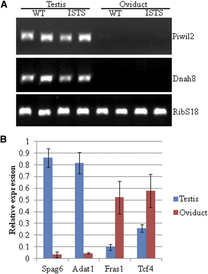 Figure 5