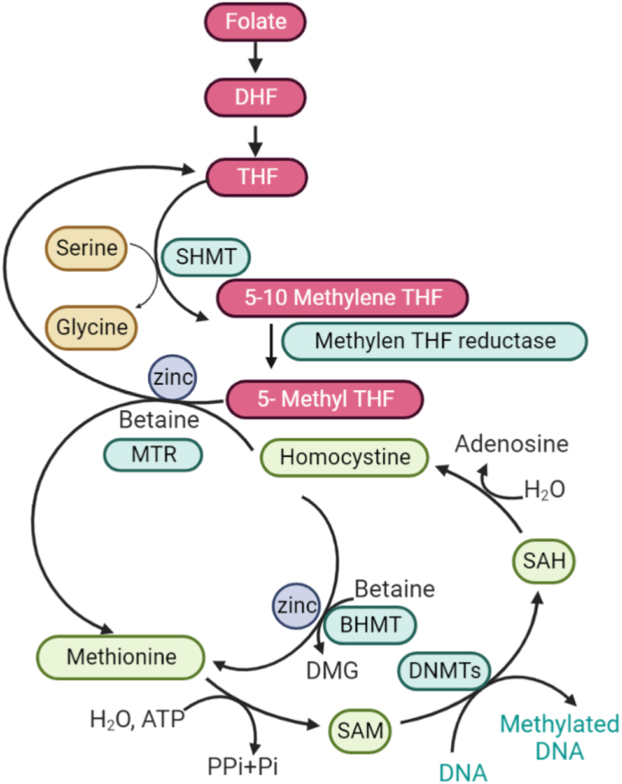 Figure 1