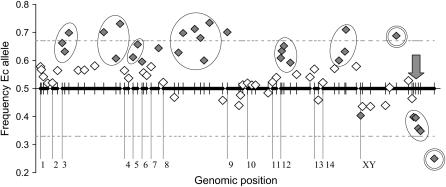 Figure 3.—