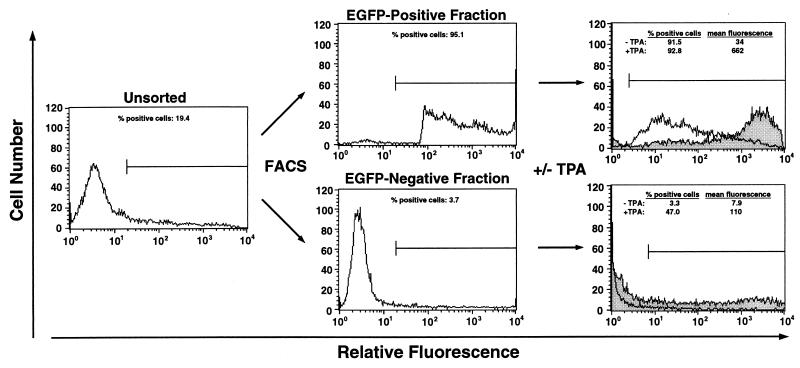 FIG. 6