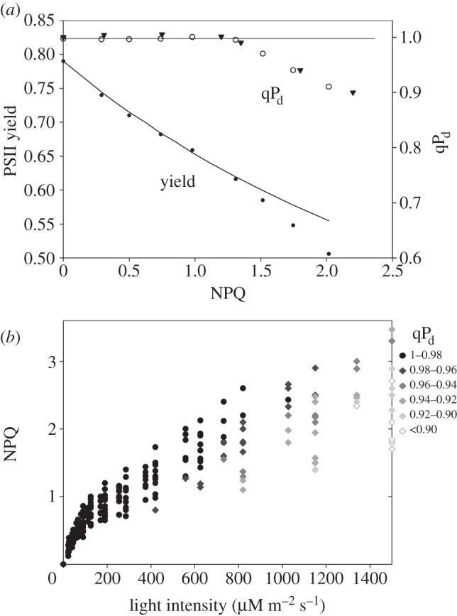 Figure 4.