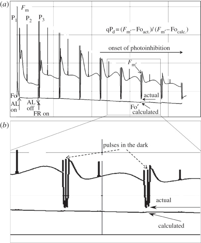 Figure 1.