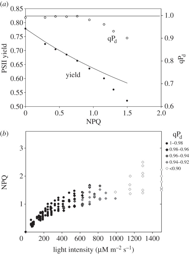 Figure 5.