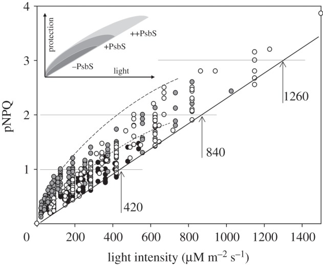 Figure 7.