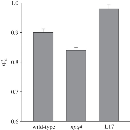 Figure 3.