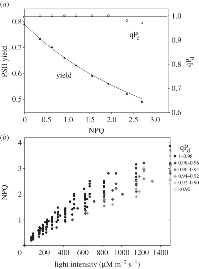 Figure 6.