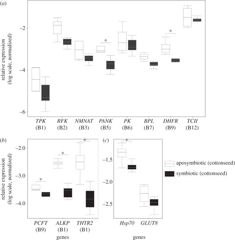 Figure 3.