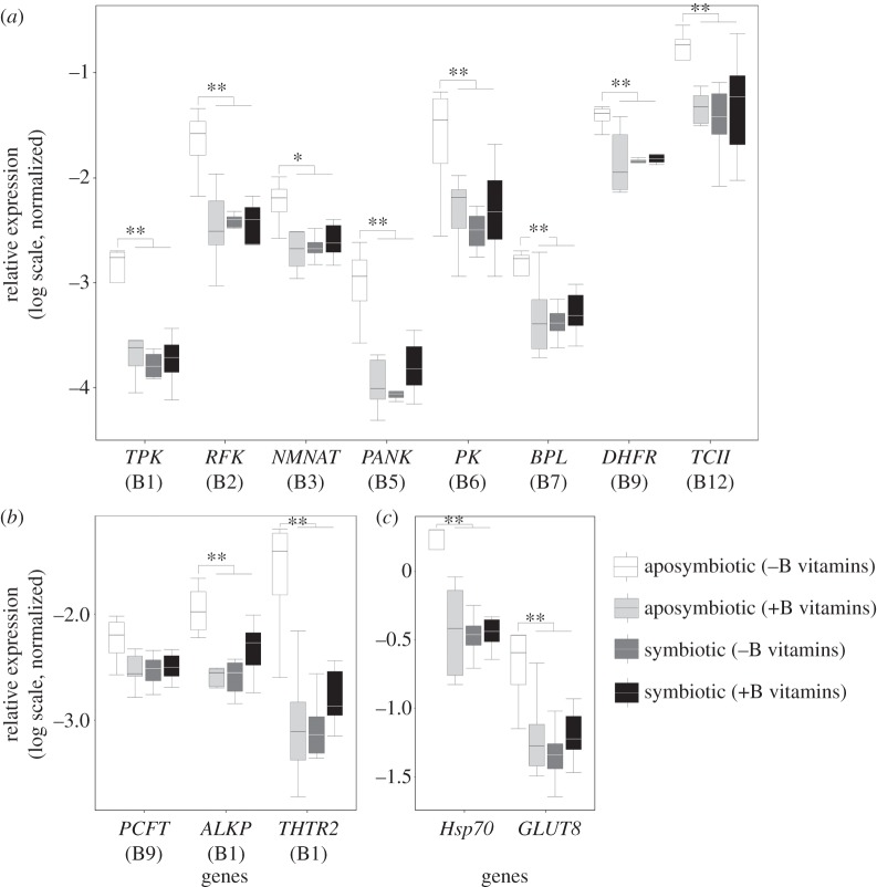 Figure 4.