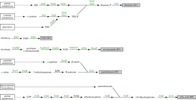 Figure 6.