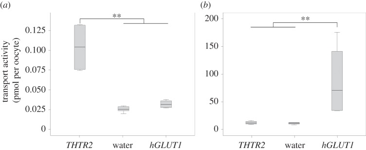 Figure 5.