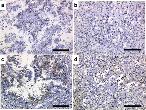 Fig. 11