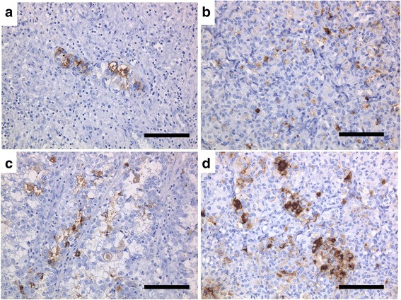 Fig. 10