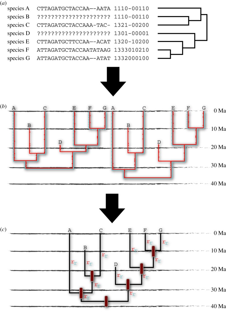 Figure 3.