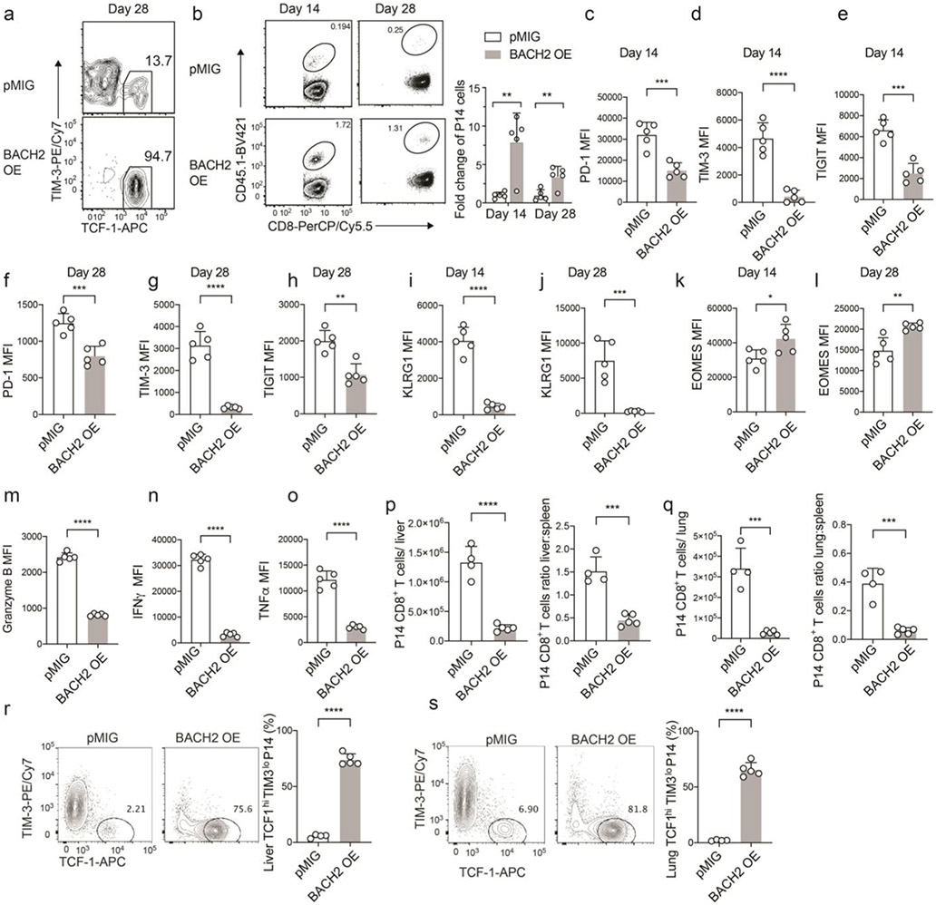 Extended Data Figure 2