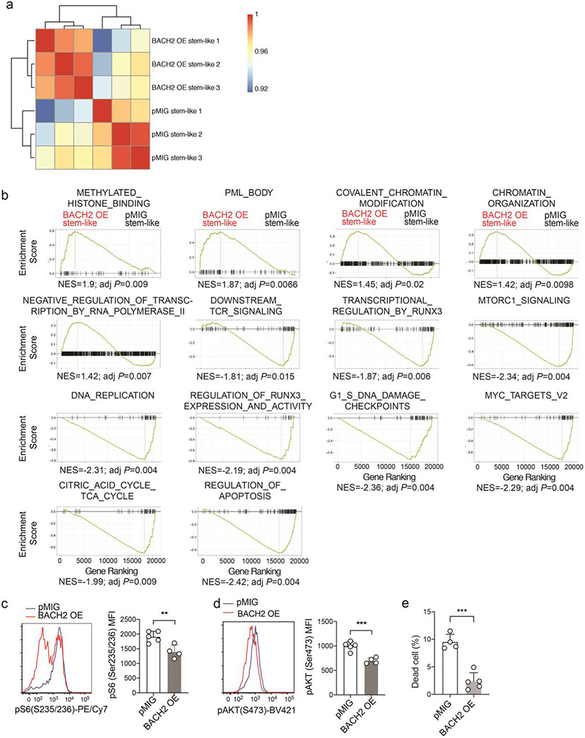 Extended Data Figure 4