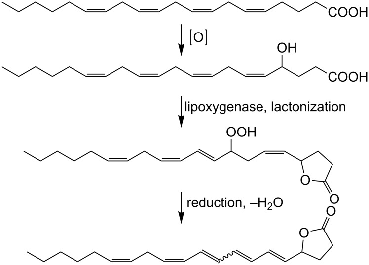 Scheme 2